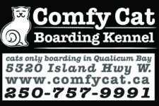 Photo of Comfy Cat Boarding Kennel Photo of Comfy Cat Boarding Kennel