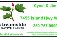 Photo of Streamside Native Plants Photo of Streamside Native Plants